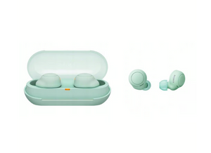 Sony WF-C500 True Wireless Headphones