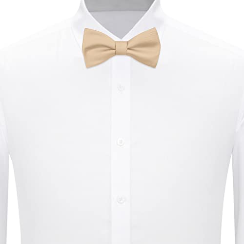 Jacob Alexander Men's Silk Self-Tie Bow Tie, Royal Gold