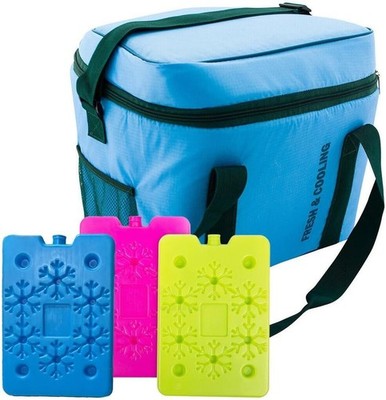 30L Insulated Picnic Cooler Bag with 3 Ice Packs Family Camping Travel Lunch