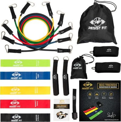 Resist Fit Adjustable Resistance Bands Set 10-Level Home Gym w/ Carry Bag