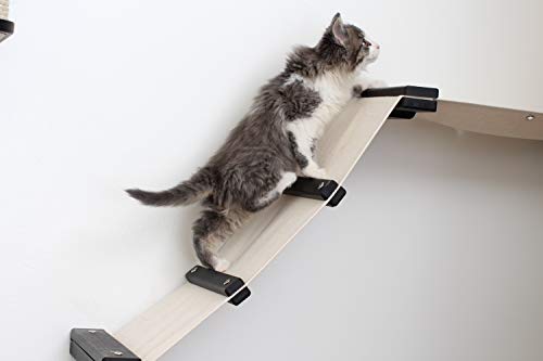 CatastrophiCreations Wall Mounted Cat Shelf, Chestnut/Natural