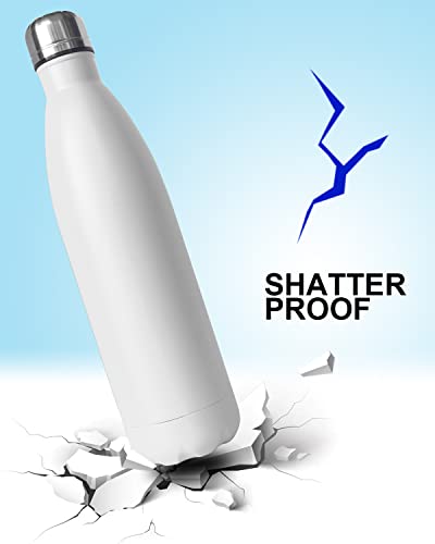 Diversion Safe Water Bottle Stainless Steel Stash Can With Hidden, White