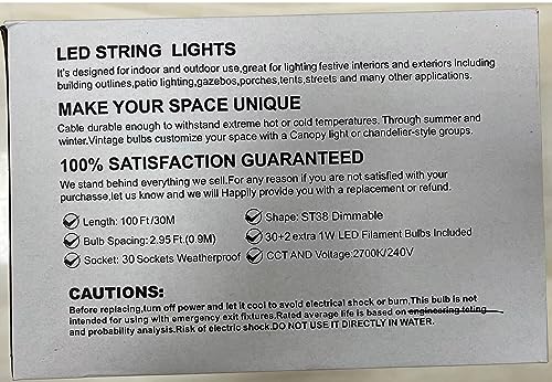 Festoon Lights Outdoor 30m 100ft IP65 32 LED 2700K Bulbs 4m Extension Cable - view 11