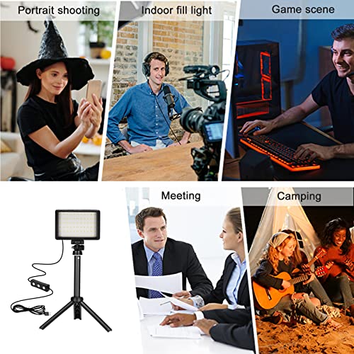 Ci-Fotto LED Video Light 2-Pack, 5600K Dimmable, with Tripod