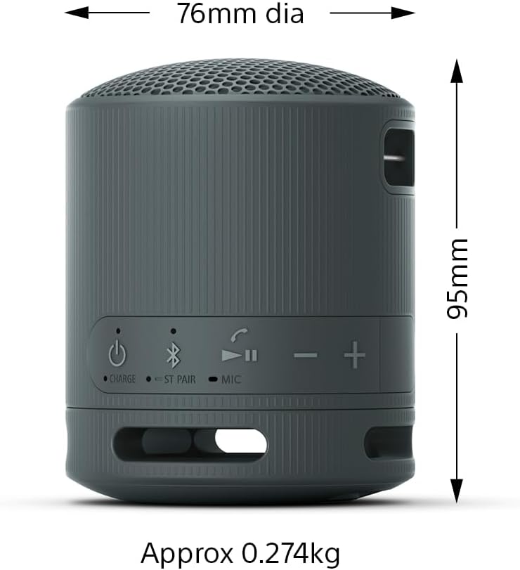 Sony SRS-XB100 Extra Bass Waterproof Bluetooth Speaker Black