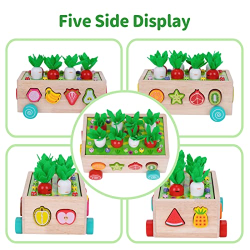 Toddlers Montessori Wooden Shape Sorting Toy Age 2 3 4 Years Learning Game - view 4