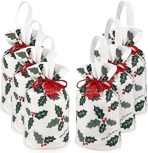 6Pcs Christmas Gift Bags With Drawstring