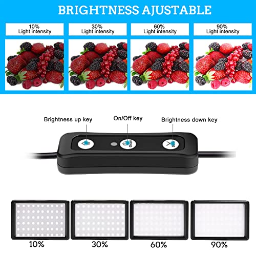Ci-Fotto LED Video Light 2-Pack, 5600K Dimmable, with Tripod