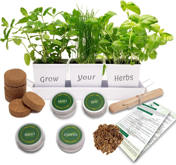 Grow Your Own Herb Garden Kit - Chives, Basil, Mint Seeds in 3 Pots