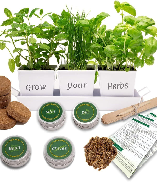 Grow Your Own Herb Garden Kit - Chives, Basil, Mint Seeds in 3 Pots