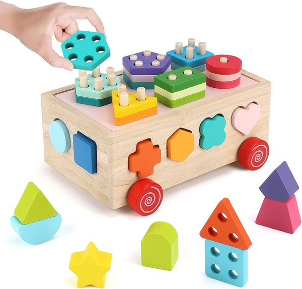 Wooden Montessori Toy for Toddlers, Plug-In Game, Learning Sorting Puzzles