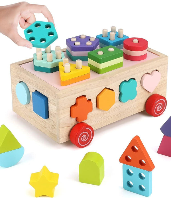 Wooden Montessori Toy for Toddlers, Plug-In Game, Learning Sorting Puzzles