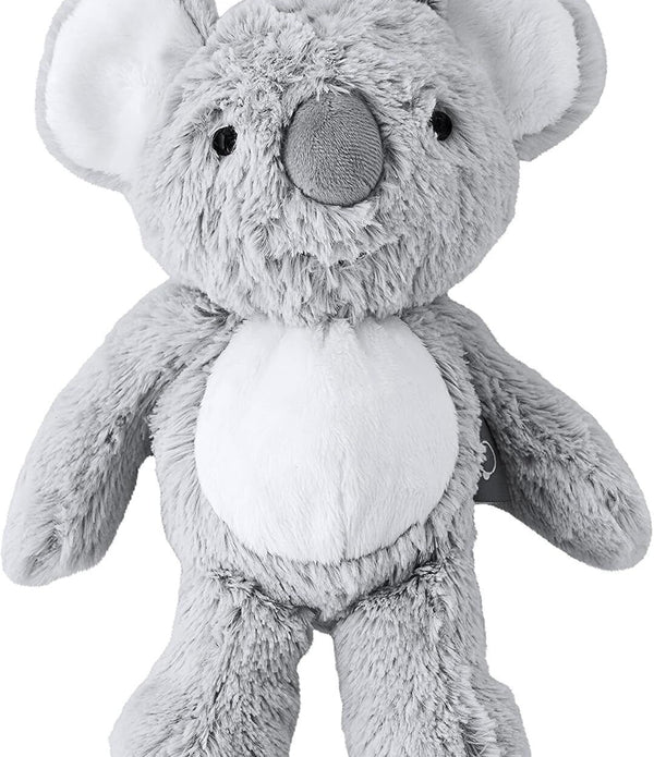 Koala Cuddles Plush 30cm Soft Toy