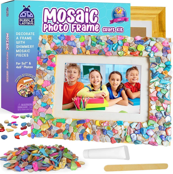 Purple Ladybug Mosaic Photo Frame Craft Kit Age 6+