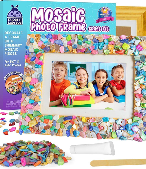 Purple Ladybug Mosaic Photo Frame Craft Kit Age 6+