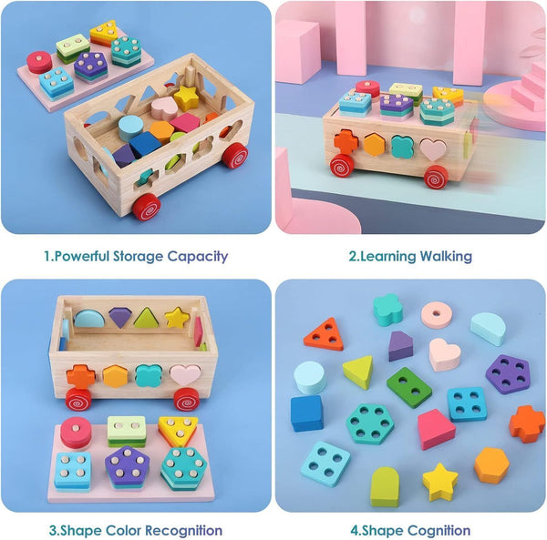 Wooden Montessori Toy for Toddlers, Plug-In Game, Learning Sorting Puzzles