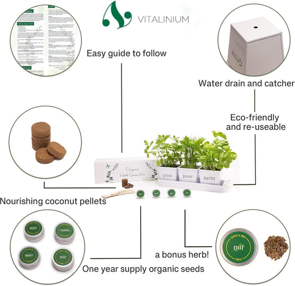 Grow Your Own Herb Garden Kit - Chives, Basil, Mint Seeds in 3 Pots