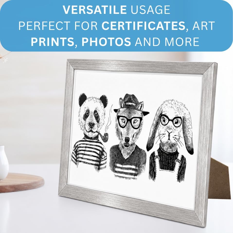 Clay Roberts A4 Photo Frames Pack of 6 Silver Picture Certificate Frame 21x29.7