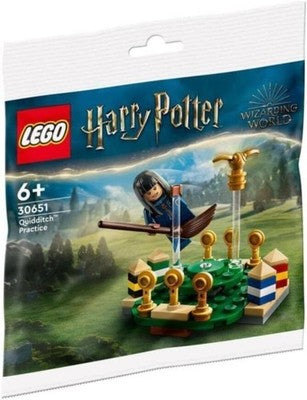 x2 Harry Potter Lego 30651 Quidditch Practice Wizarding World Building Kit