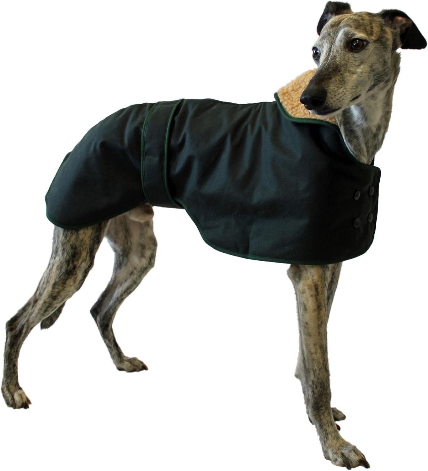 Cosipet Greyhound Hunter 30in 75cm Green Dog Coat Fleece Winter Walking Wear