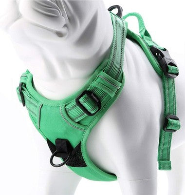 Truelove No Pull Reflective Dog Harness Handle 2 Leash Points Green Large