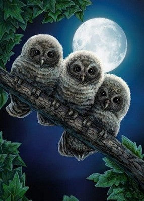 JISHSHAY 5D DIY Owl Diamond Painting Kit Full Drill 30x40cm Crystal Art