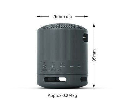 Sony SRS-XB100 Extra Bass Waterproof Bluetooth Portable Speaker, Black