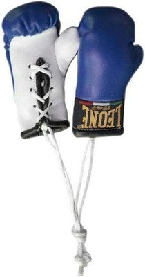 Leone 1947 Ac911 Mittens Car Accessories