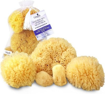 Natural Sea Sponges 5pc Bath Shower Facial Cleaning Gift Bag Hypoallergenic