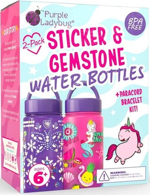 Purple Ladybug Decorate Your Own Water Bottle Craft Kits For Kids Ages 6+