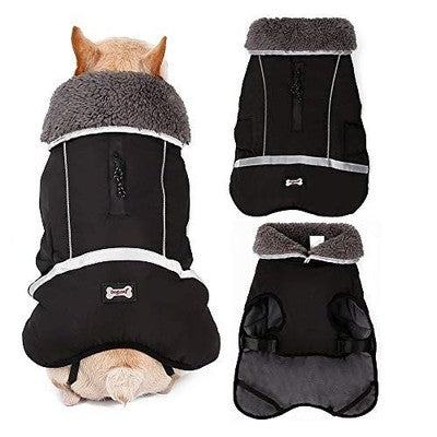 Waterproof Dog Coat, Black, Medium, Warm Windproof Jacket