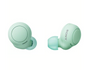 Sony WF-C500 True Wireless Headphones