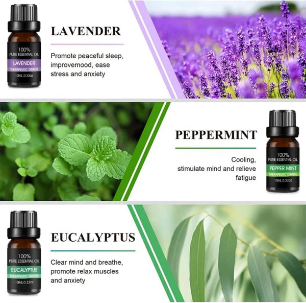 Essential Oils Set 6-Pack Pure Therapeutic Grade Aromatherapy Oils